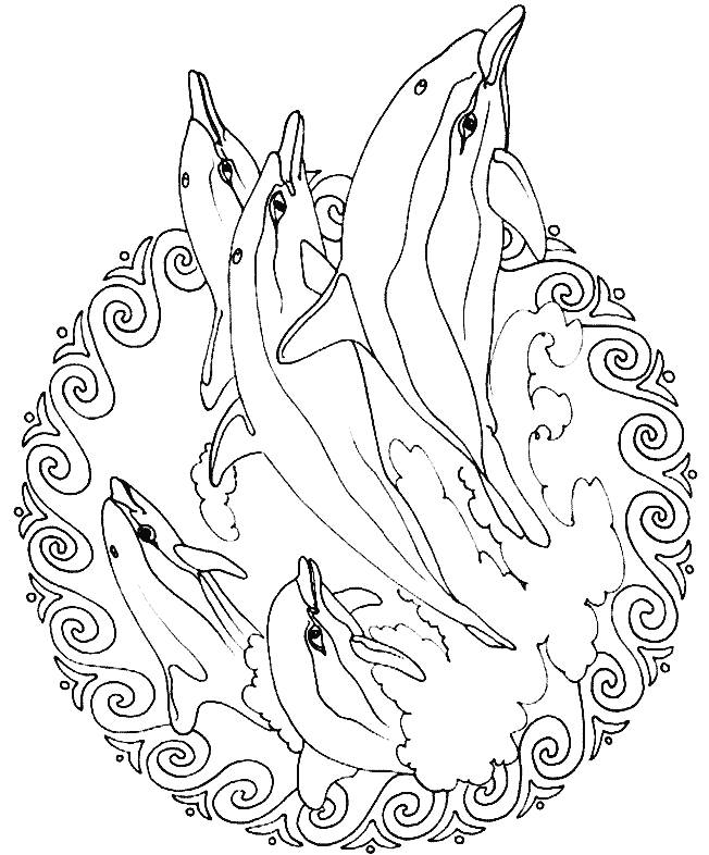 Coloring pages mandala animals | coloring pages