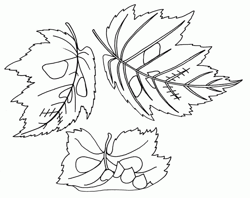 Coloring Pages Of Leaves 261995 Fall Leaves Coloring Page