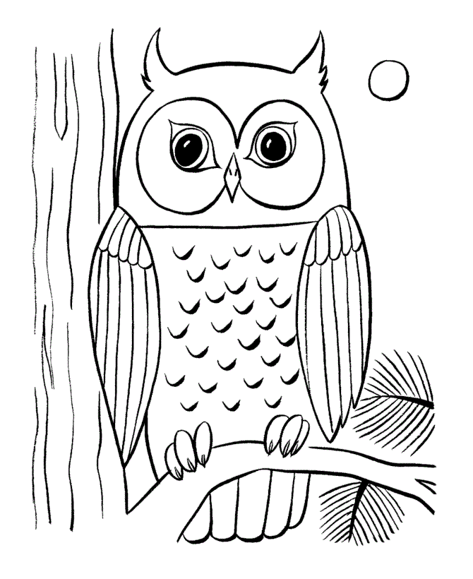 Owl Coloring Pages for Kids- Free Coloring Pages to download