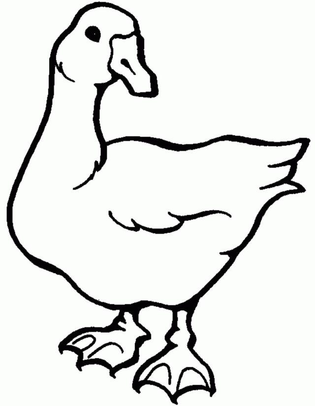 Download White Goose Printable Animal Coloring Pages Or Print