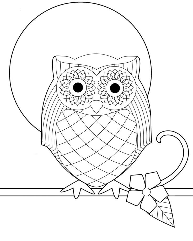 Baby Owl Coloring Pages | Owl stuff