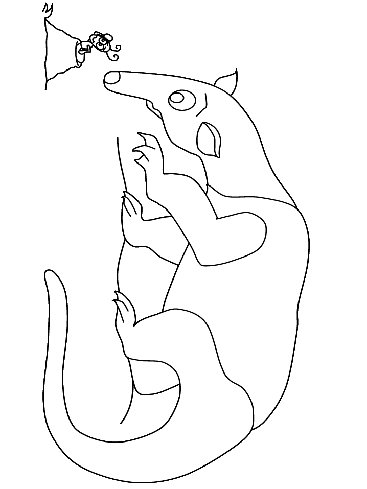 Anteater coloring pages | Coloring-
