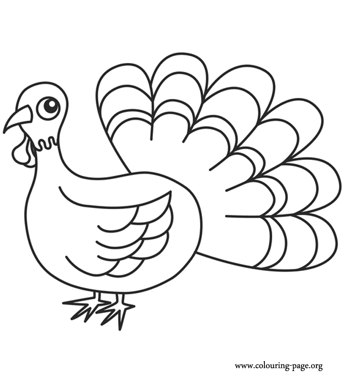 ton turkey Colouring Pages