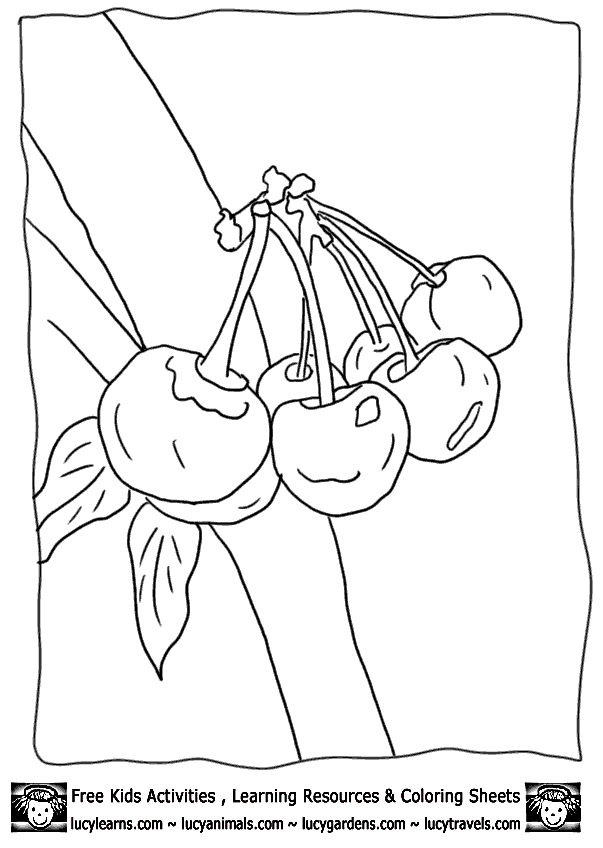 Printable Fruit Coloring Pages Pears, Fruit Coloring Pages of Pear