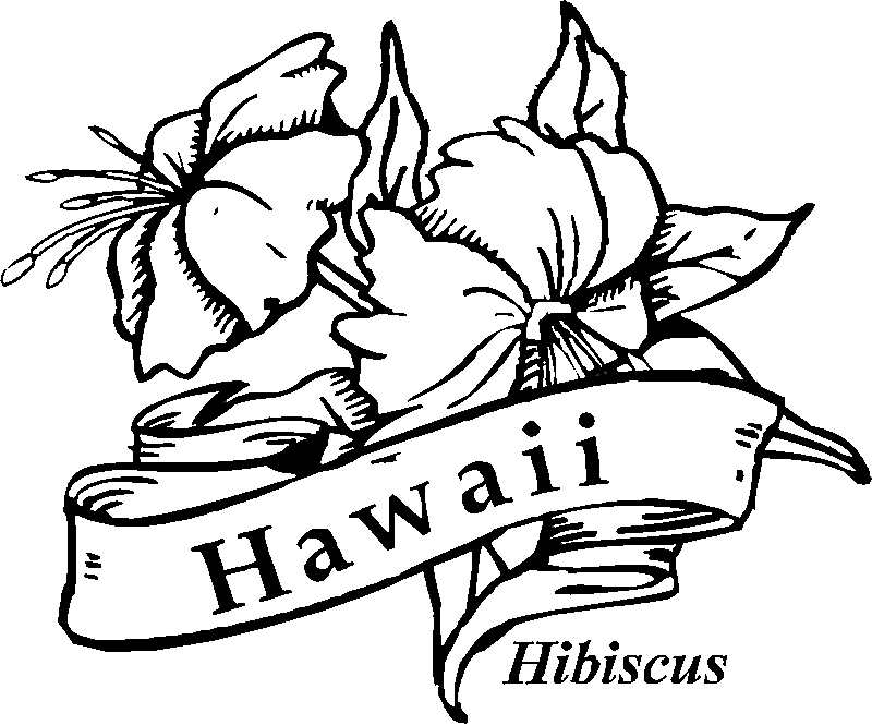 Pin by Terri Barker on Ideas for Hawaiian Themed Party