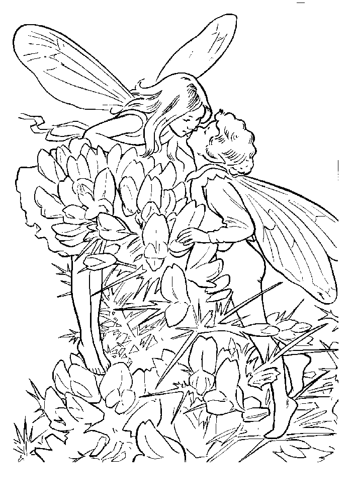 Fairy Coloring Sheets To Print