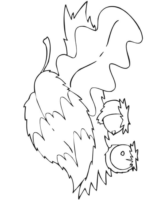 fall leaves Colouring Pages (page 2)