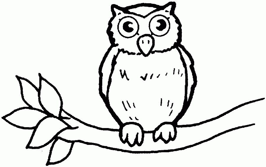Free-Printable-Owl-Coloring-