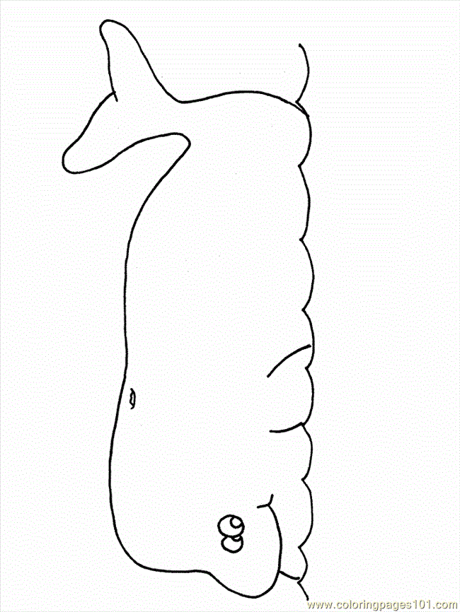 Coloring Pages Whale Fish 10 (Mammals > Whale) - free printable