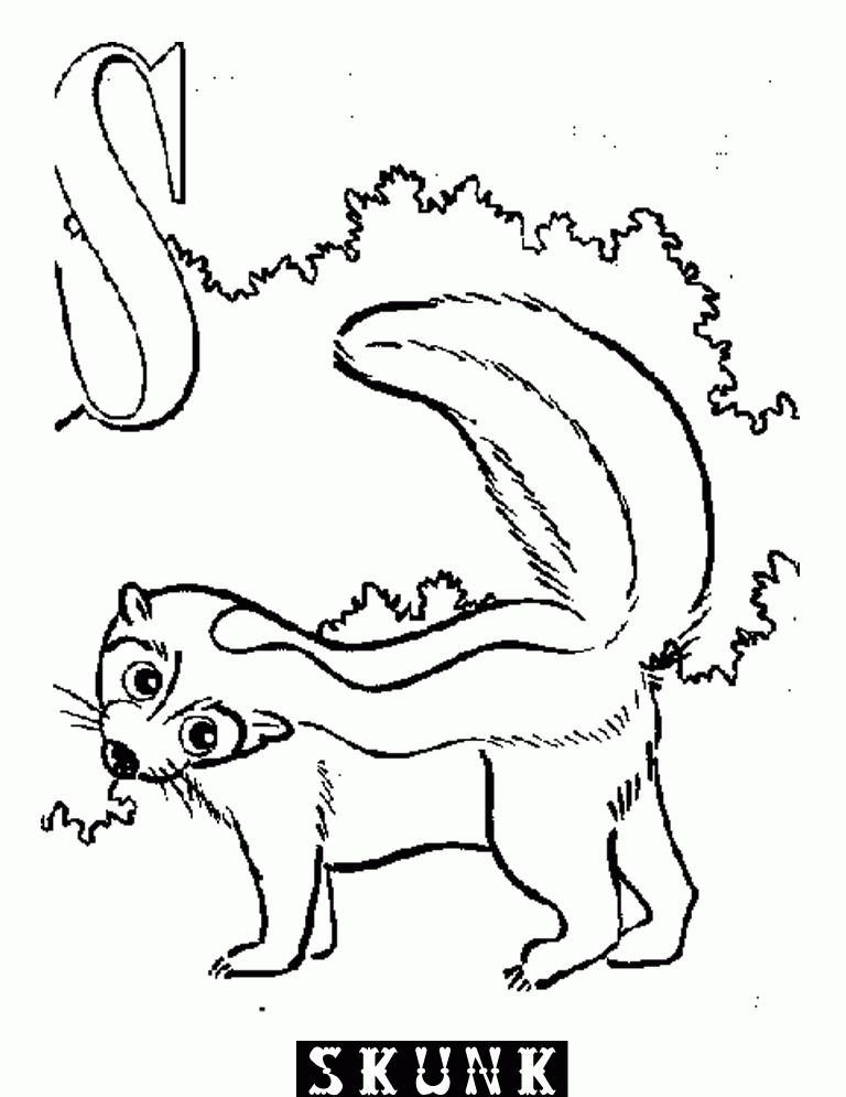 Animal Alphabet S Skunk :Kids Coloring Pages | Printable Coloring
