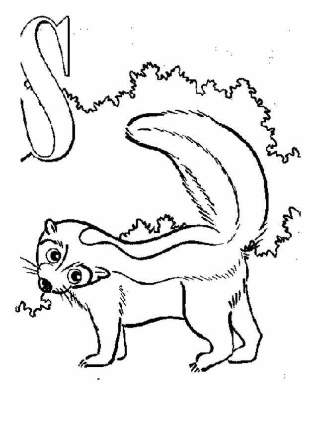 Skunk Coloring Pages To Print | Laptopezine.
