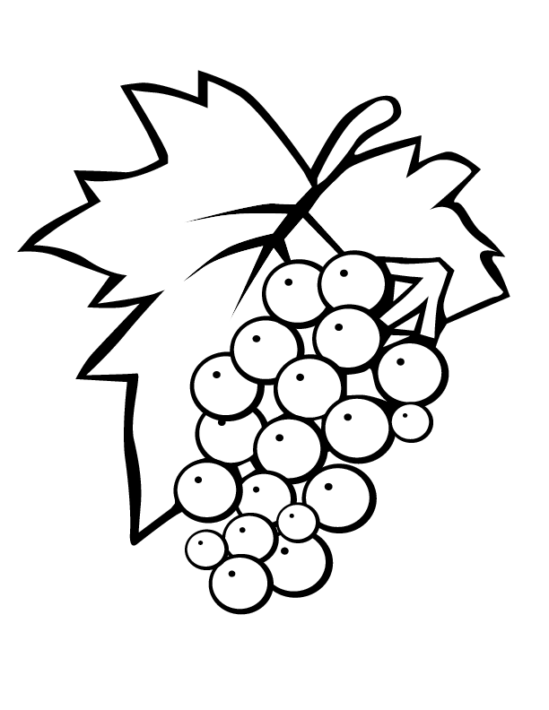 eps red-grapes printable coloring in pages for kids - number 1721