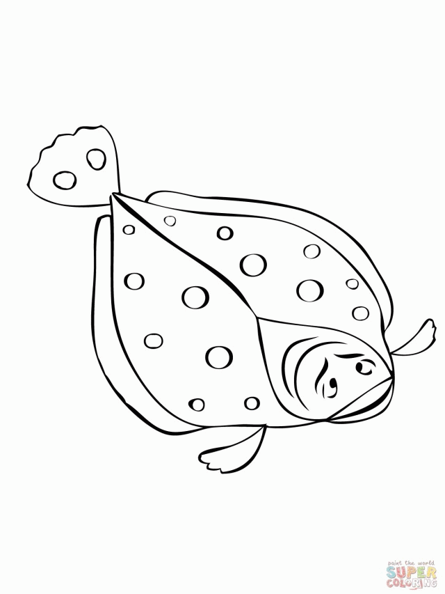 Flounder Fish Coloring Page Id 24378 Uncategorized Yoand 271013