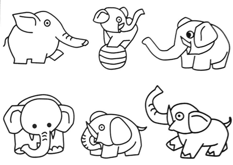 jungle animals coloring pages : Printable Coloring Sheet ~ Anbu