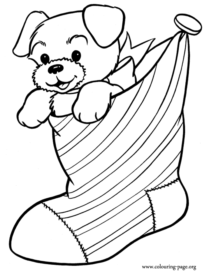Christmas - Puppy inside a Christmas stocking coloring page