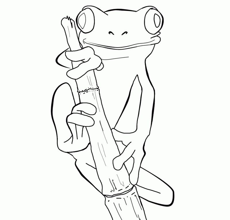 Coloring Pages A Tree Frog - HD Printable Coloring Pages