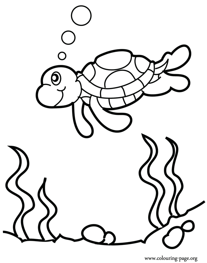 turtles sea turtle swimming over reef coloring page