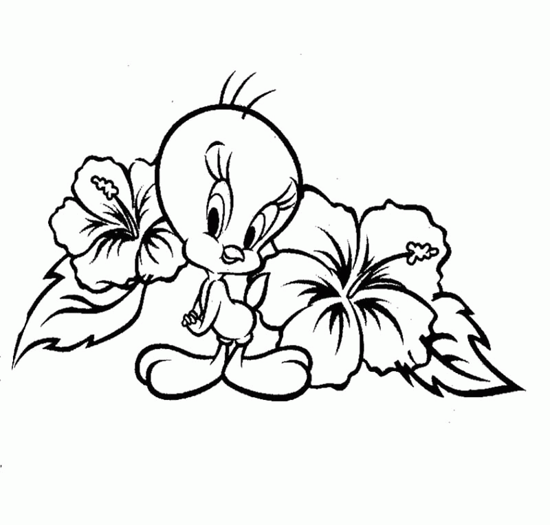 Tweety Coloring Pages : Tweety And Flower Coloring Page Kids