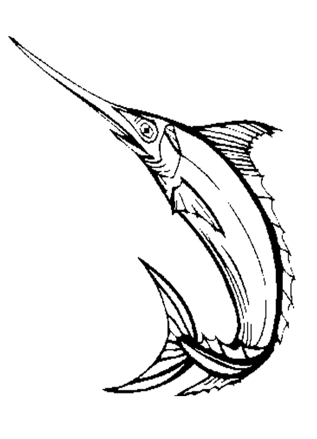 Sword Fish Coloring Sheet