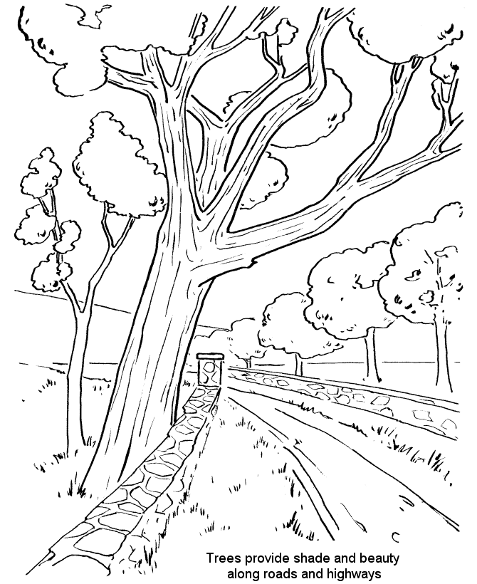 Arbor Day Coloring Pages - Streetside trees Coloring Pages