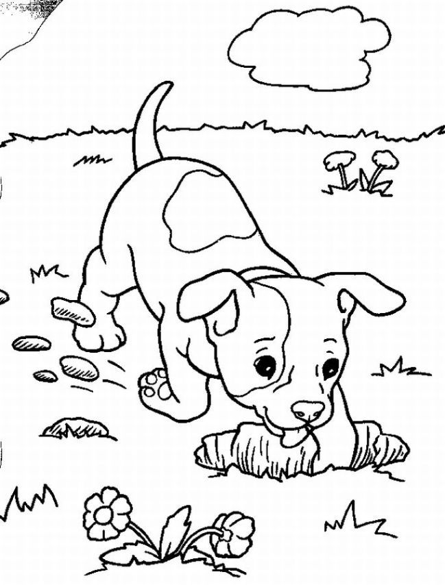 Printable puppy Coloring Pages | Coloring Pages For Girl