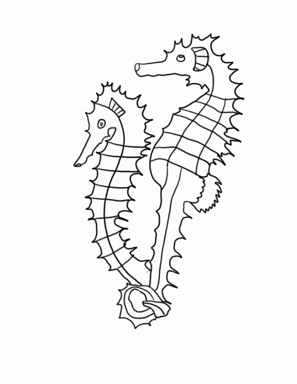 Free Printable Seahorse Coloring Pages For Kids
