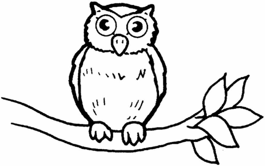 Owl Coloring Pages For Kids - Free Coloring Pages For KidsFree