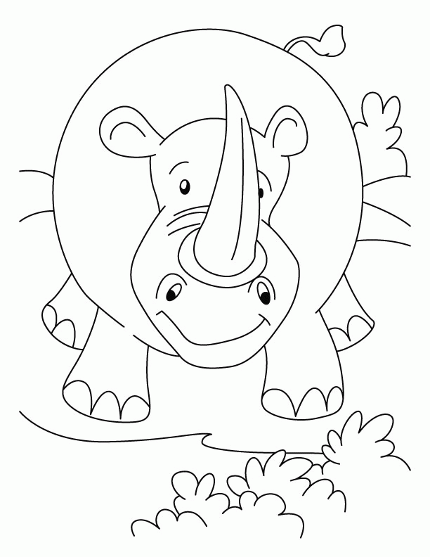 Rhinoceros in attacking mood coloring pages | Download Free