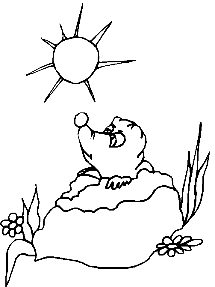 Printable Ghd7 Groundhog Coloring Pages 