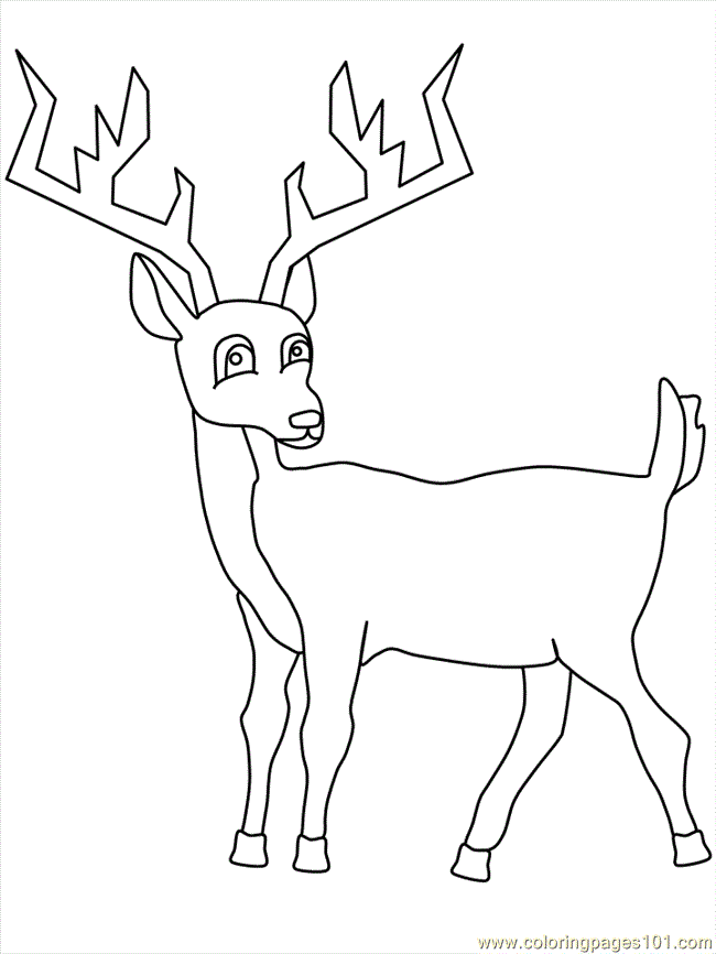 g deer Colouring Pages