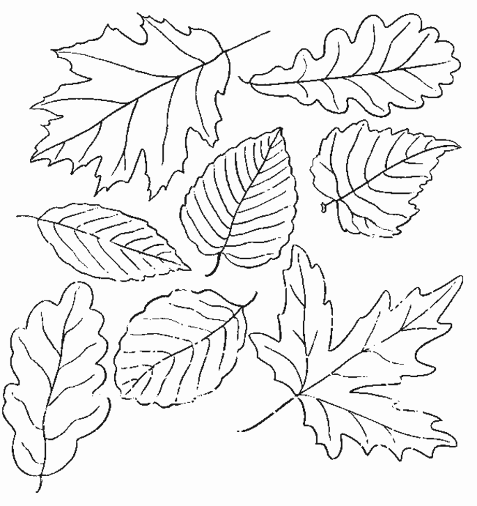 Fall Coloring Pages To Print For Kids | Coloring Pages For Kids