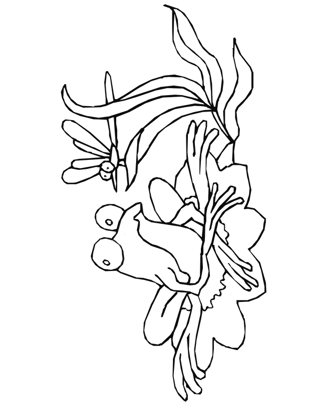 frog coloring page and dragonfly