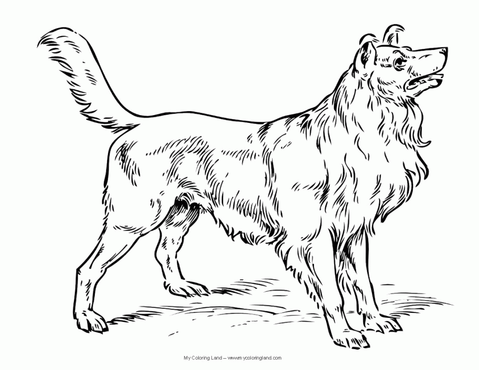 Dog House Coloring Page Coloring Pages For Kids Android 168973