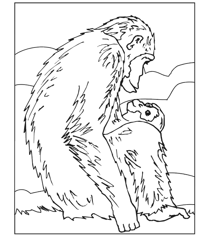 Chimpanzee Coloring Page | Chimpanzee With Baby