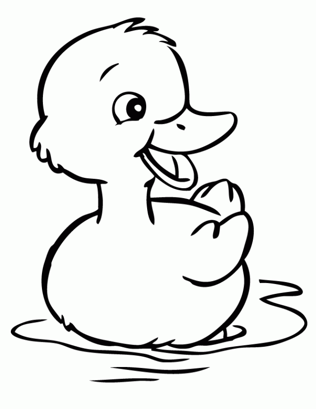 Cool Duck Coloring Pages | Coloring Pages