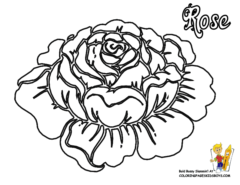 coloring pages of flowers : Printable Coloring Sheet ~ Anbu