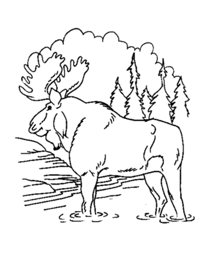 cartoon moose Colouring Pages (page 3)