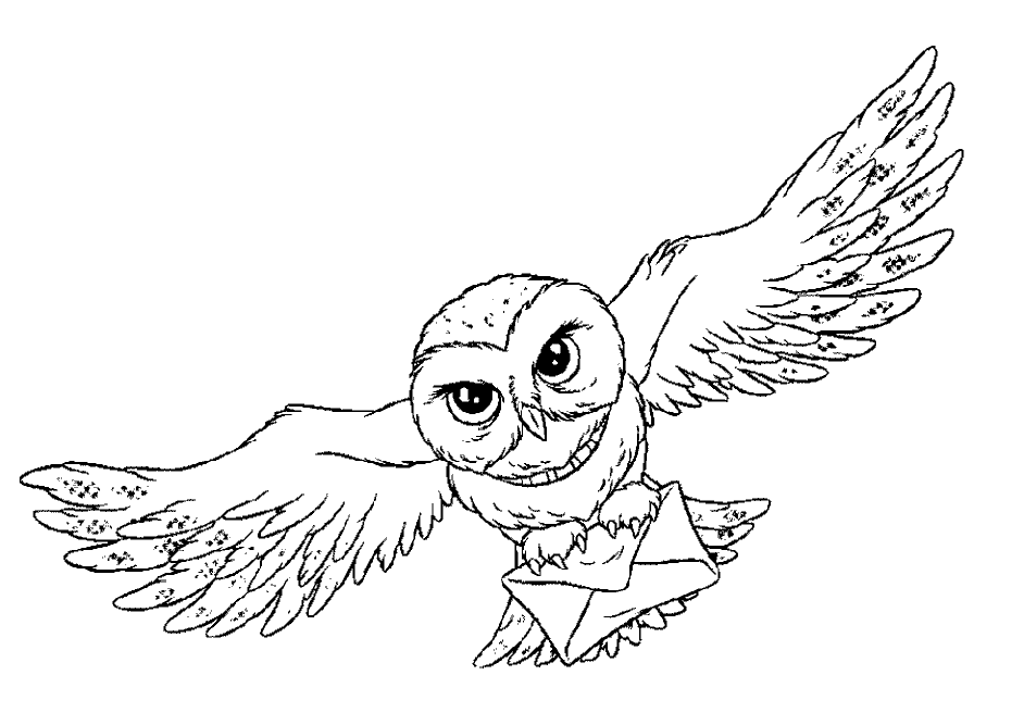 owl coloring pages for kids | Coloring Pages For Kids
