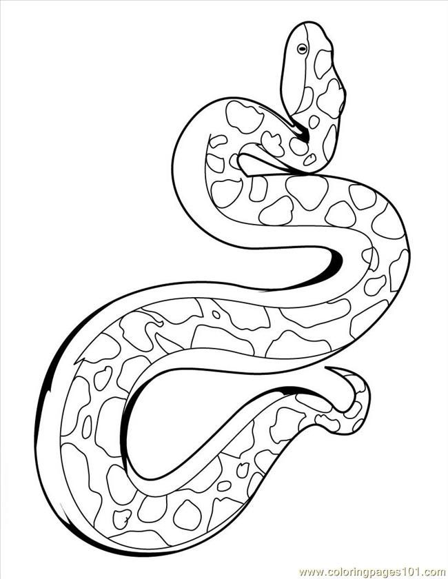 Printable Snake Pictures | Animal Coloring pages | Printable