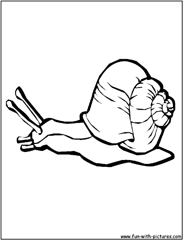Coloring Page Snail Shell Img Shell Coloring Page Sea Snail Funny