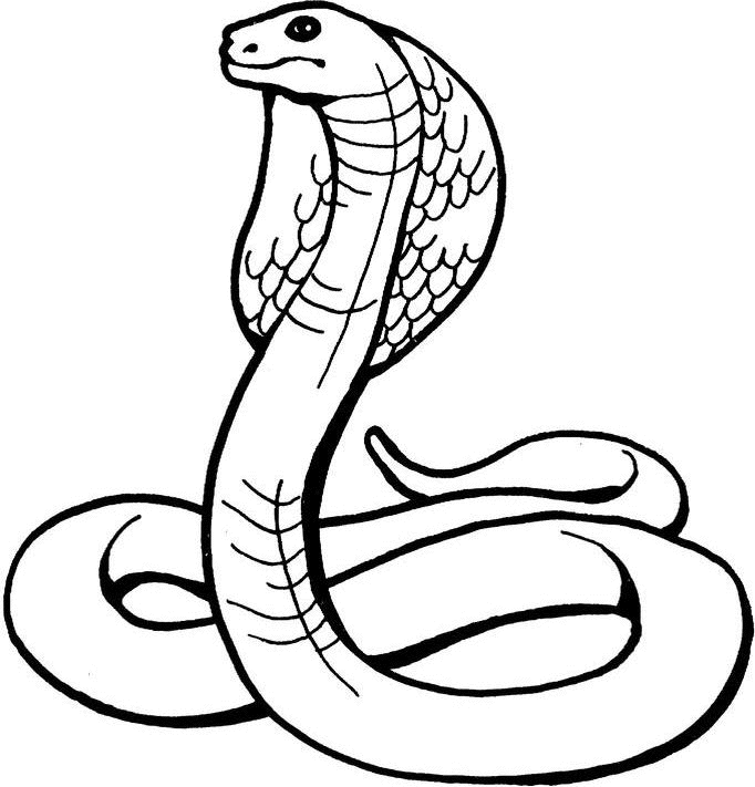 Coloring Pages Of Snakes - Free Printable Coloring Pages | Free