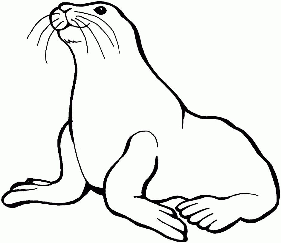 Sea Lion Coloring Pages Coloring Pages For Kids Girls And Adults