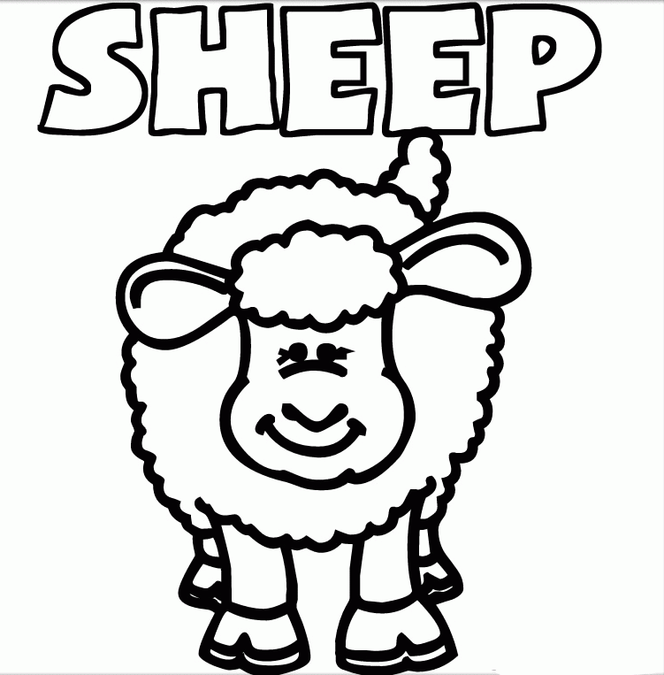 Sheep Pictures For Kids | Free coloring pages