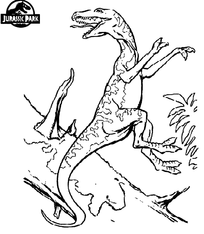 Dinosaur Coloring Pages | Free coloring pages