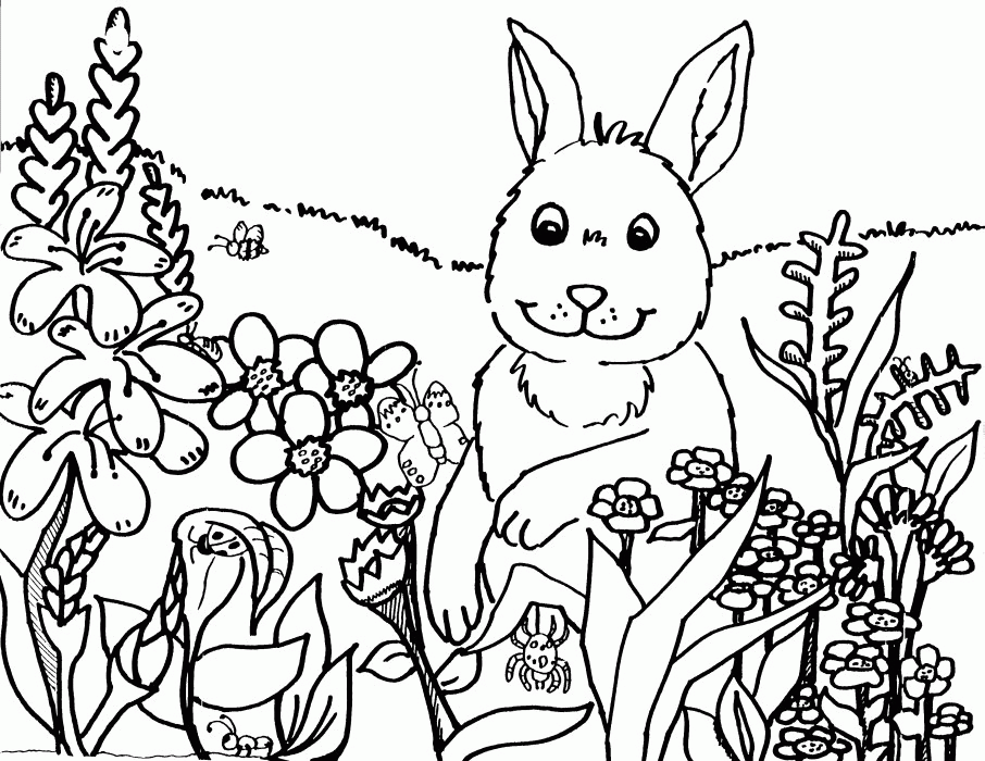 Springtime Coloring Pages - Free Coloring Pages For KidsFree