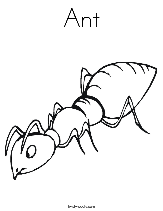 ant Colouring Pages