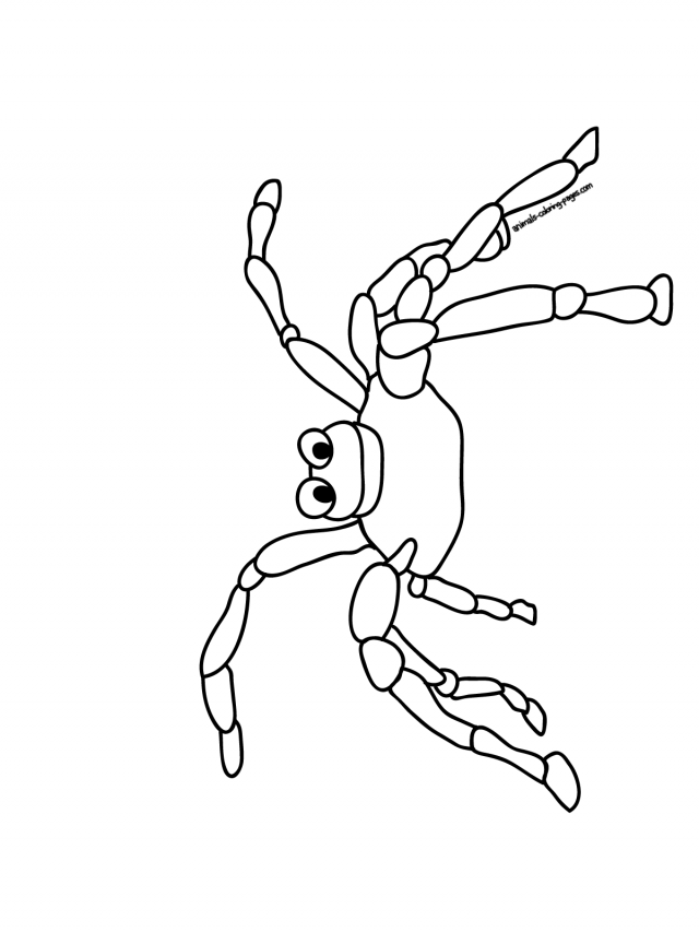 Spiders Insects Animals Coloring Pages Print Deze Kleurplaat Id