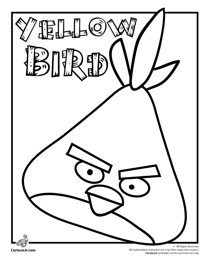 Angry Birds Yellow Bird | Cartoon Jr.