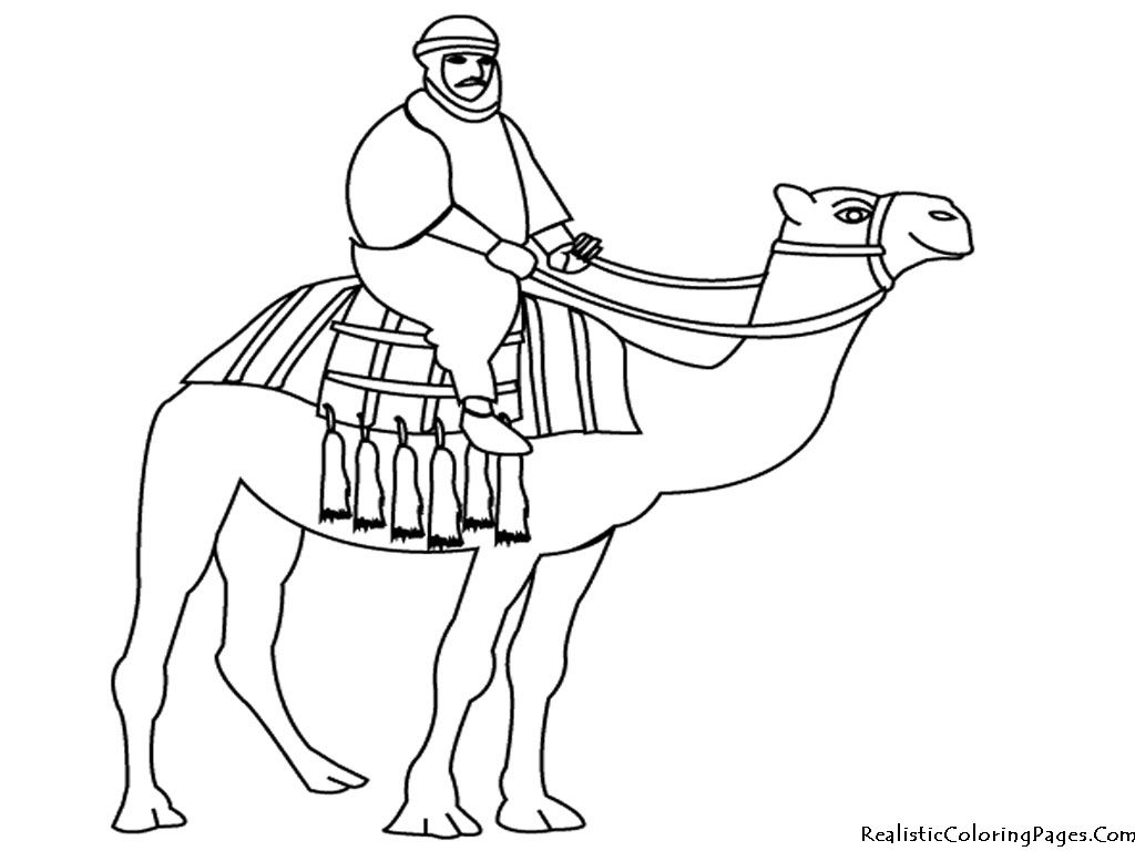 Camel, Coloring pages and Deserts