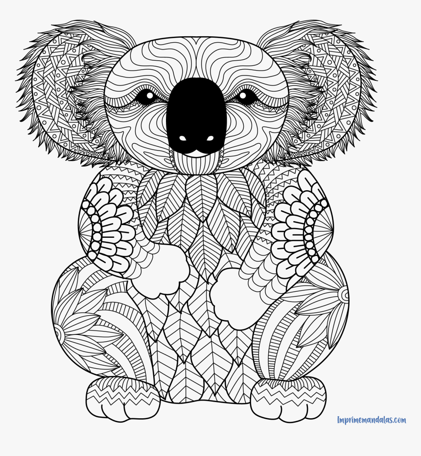 Printable Koala Coloring Pages, HD Png Download , Transparent Png ...